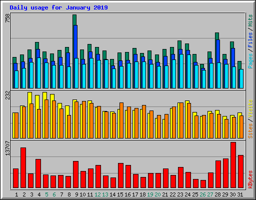 Daily usage for January 2019