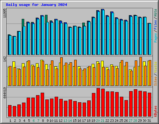 Daily usage for January 2024