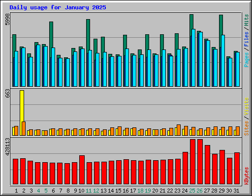 Daily usage for January 2025