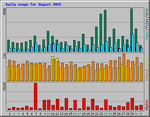 Daily usage for August 2025