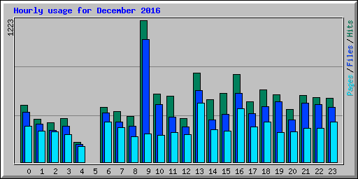 Hourly usage for December 2016
