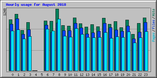 Hourly usage for August 2018