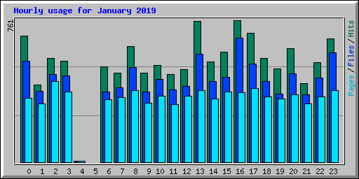 Hourly usage for January 2019