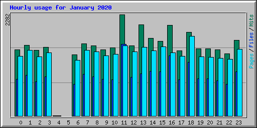 Hourly usage for January 2020