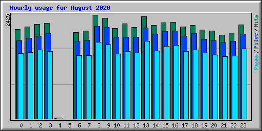 Hourly usage for August 2020