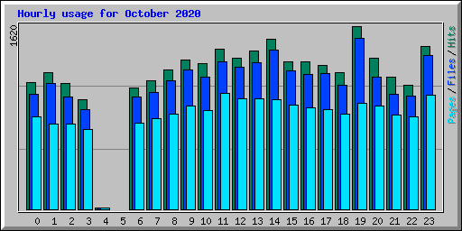 Hourly usage for October 2020