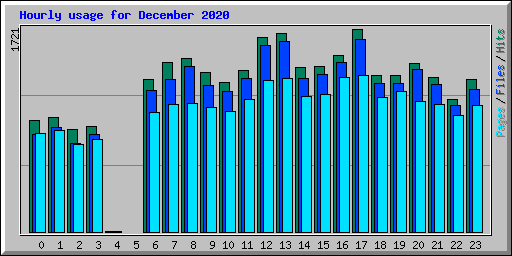 Hourly usage for December 2020