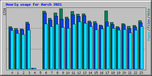 Hourly usage for March 2021