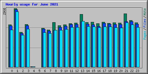 Hourly usage for June 2021