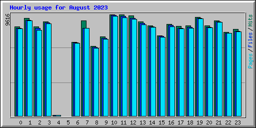 Hourly usage for August 2023