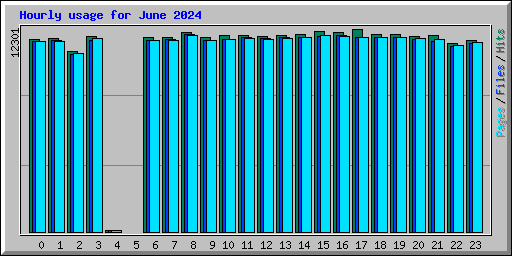 Hourly usage for June 2024