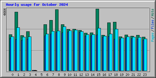 Hourly usage for October 2024