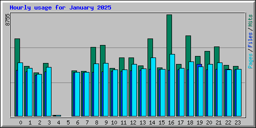 Hourly usage for January 2025