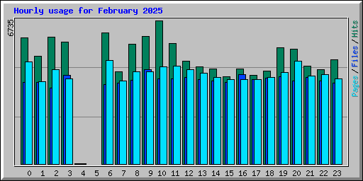 Hourly usage for February 2025