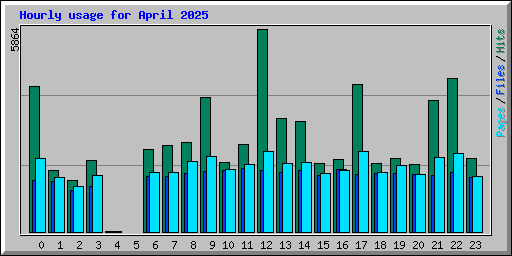 Hourly usage for April 2025
