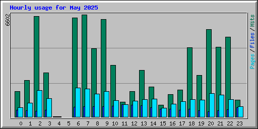 Hourly usage for May 2025