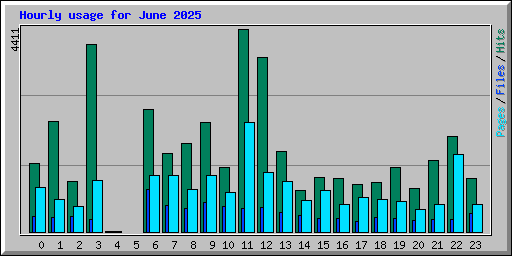 Hourly usage for June 2025