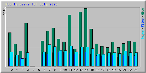 Hourly usage for July 2025