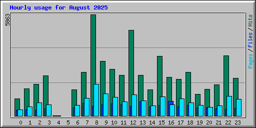 Hourly usage for August 2025