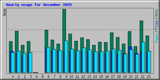 Hourly usage for December 2025