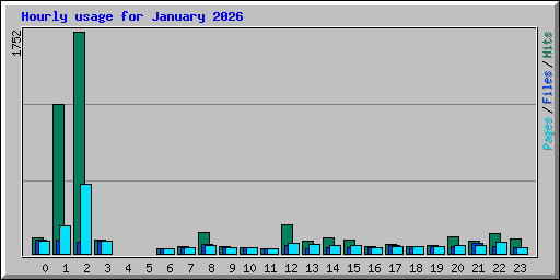 Hourly usage for January 2026