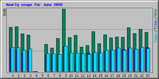 Hourly usage for June 2026
