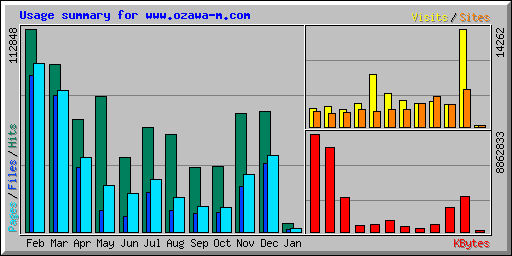 Usage summary for www.ozawa-m.com